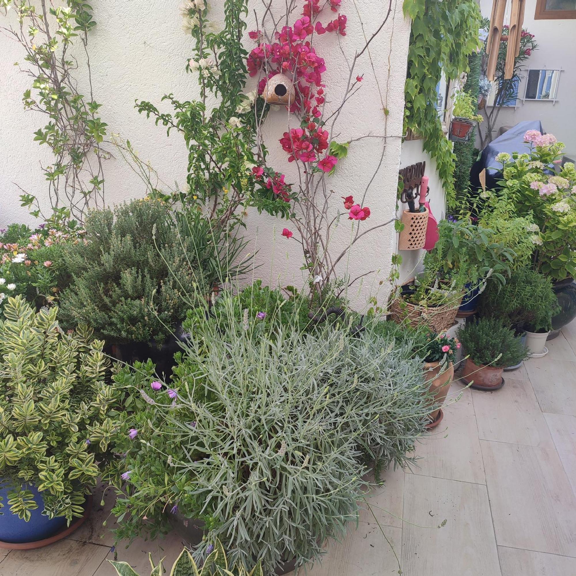 Juan Les Pins Plages Clim Wifi Maison Entiere Daire Antibes Dış mekan fotoğraf