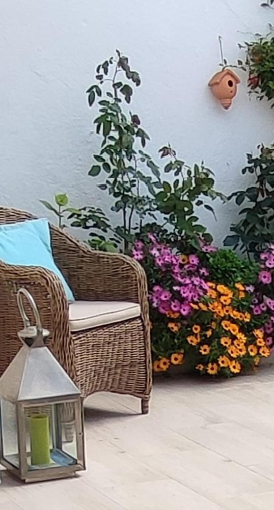 Juan Les Pins Plages Clim Wifi Maison Entiere Daire Antibes Dış mekan fotoğraf